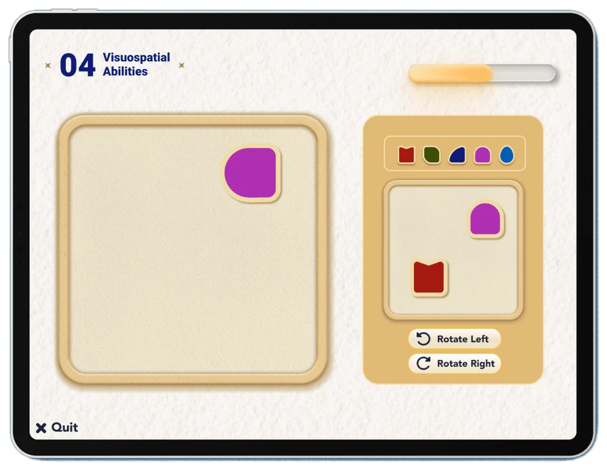 Veyra task 04, Visuospatial abilities